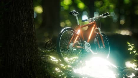 Mountain-bike-on-the-forest-path